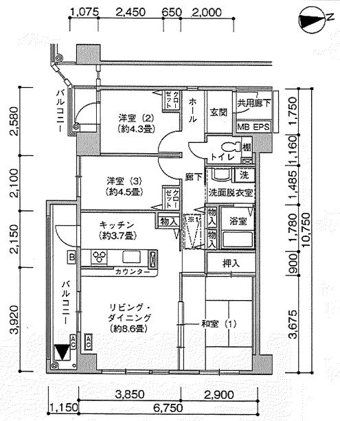 川口飯塚二丁目家族寮（コンフォール川口飯塚） 間取り