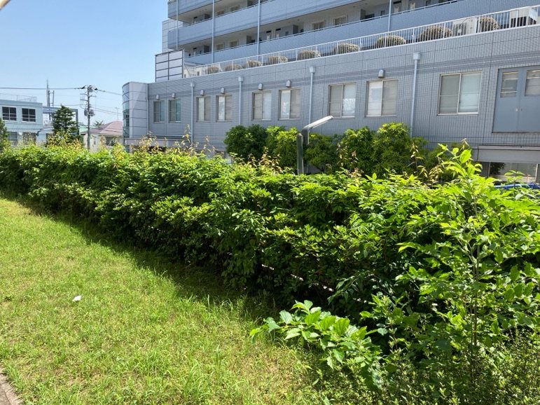 世田谷桜丘家族寮（スクエアー世田谷桜丘） その他