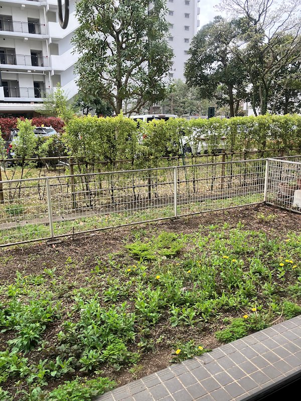 光が丘八番街家族寮（光が丘パークタウンいちょう通り八番街） 建物周辺図